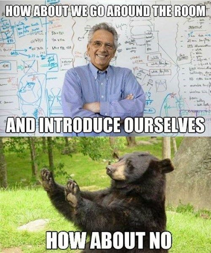 Meme of a man standing in front of a white board that reads "how about we go around the room and introduce ourselves". Then, there's an image of a bear below it that says "how about no."