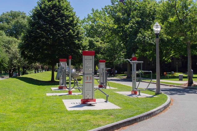 Photo: Exercise equipment on a grassy lawn on a sunny day