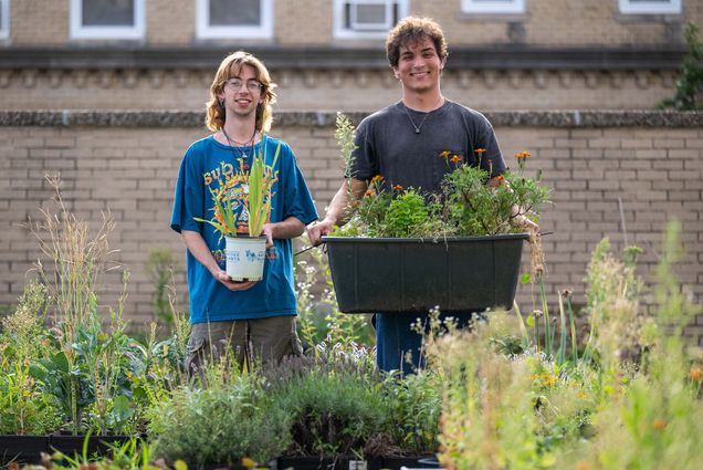Photo: Two individuals, Grant Haas (CAS’25), right, and Austin Bellis (CAS’26), stand next to each other hold plants at BU's community garden.