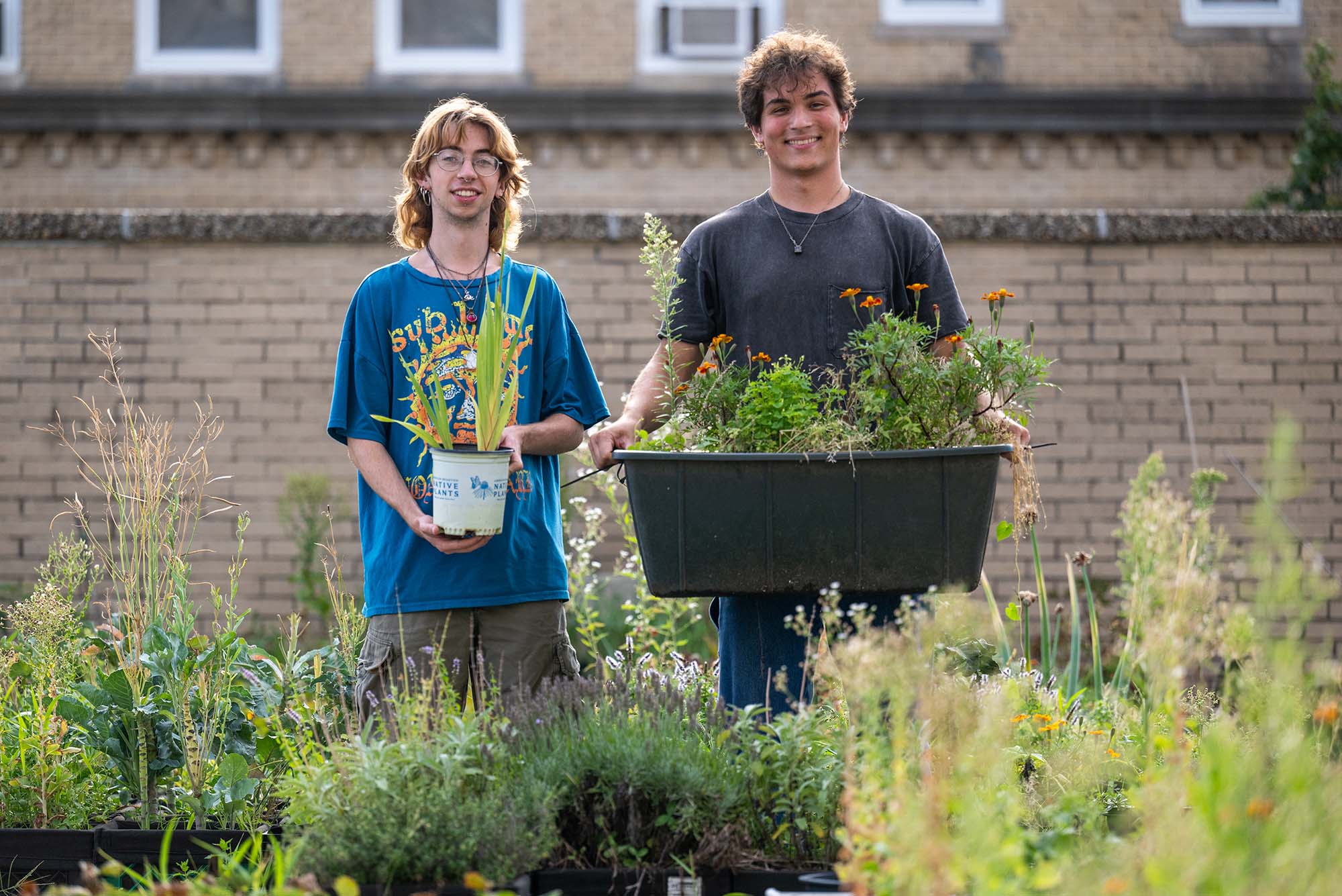Photo: Two individuals, Grant Haas (CAS’25), right, and Austin Bellis (CAS’26), stand next to each other hold plants at BU's community garden.