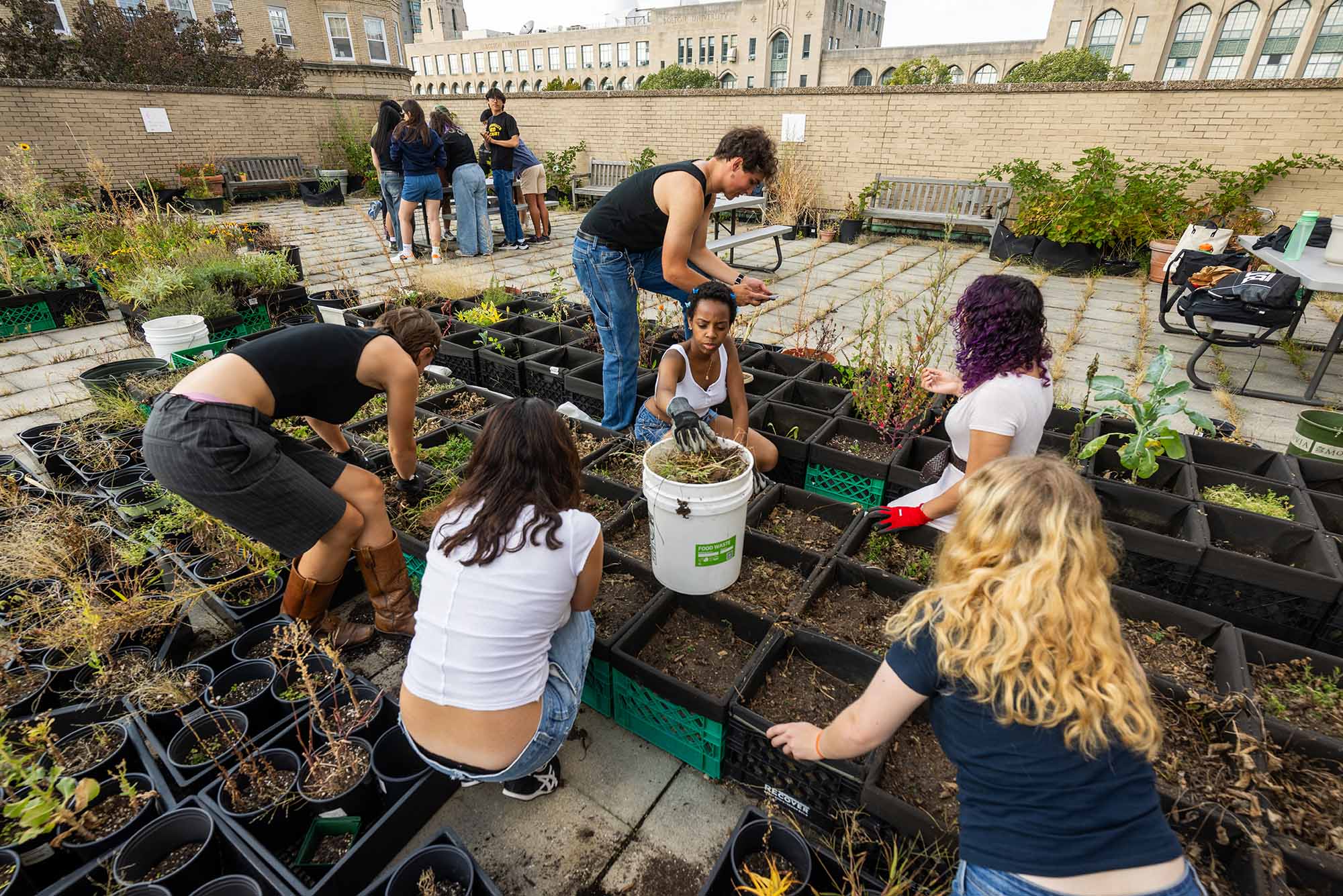 Photo: A group of individuals prep soil to plant in rows in a community garden.
