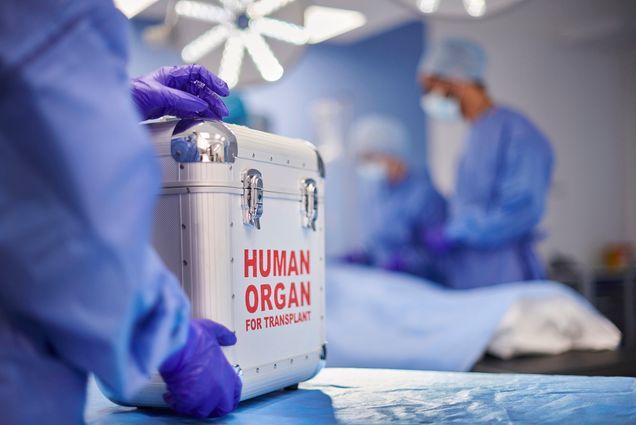 Photo: A stock photo of locked case labeled HUMAN ORGANS.