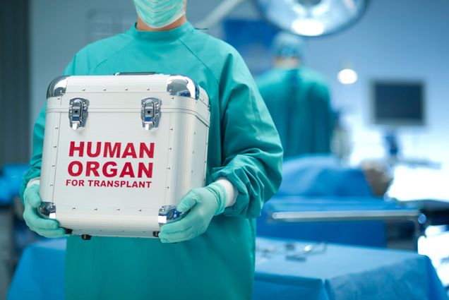Photo: A doctor in scrubs and gloves carrying a case that says "Human Organ for Transplant" while in a hospital room