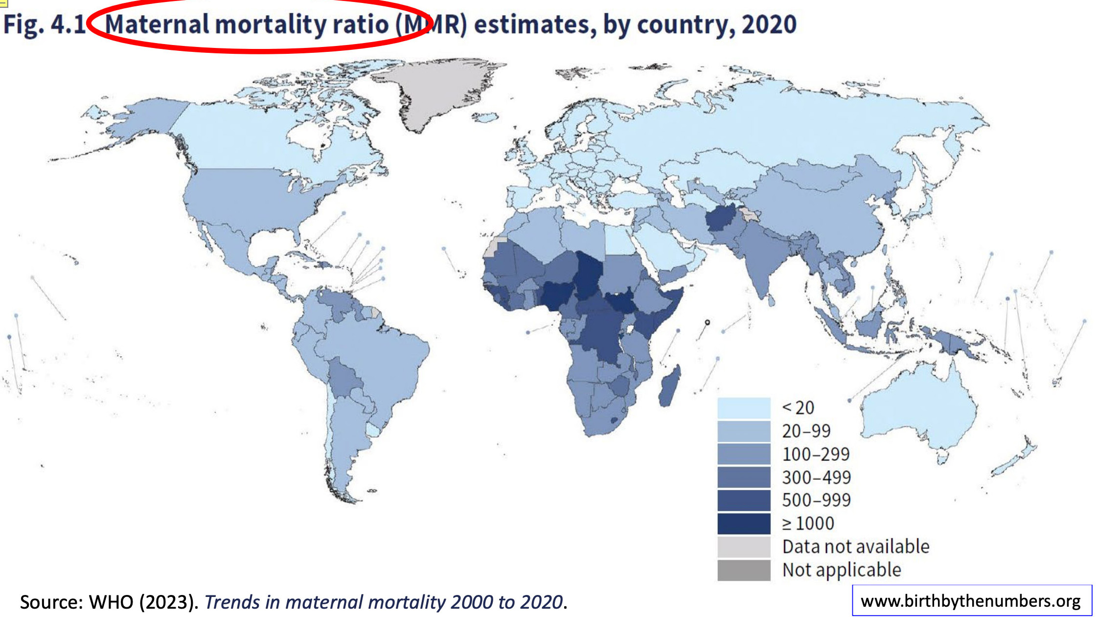 Photo: A graph detailling maternal deaths across the globe