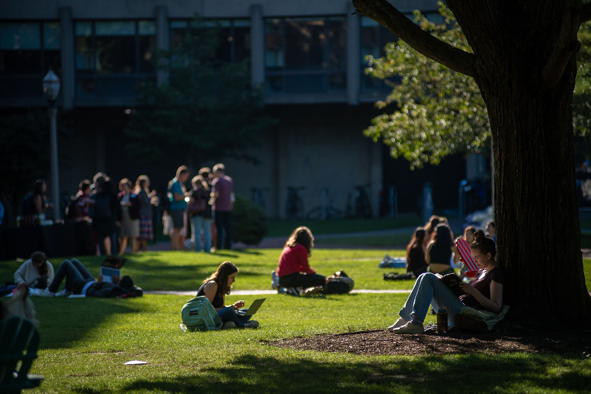 Students seated and standing on lawn outside BU building