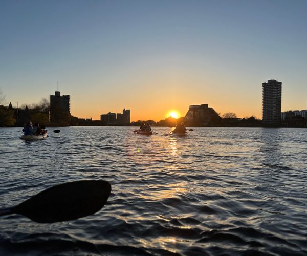 Kyaks on the Charles River at sunset