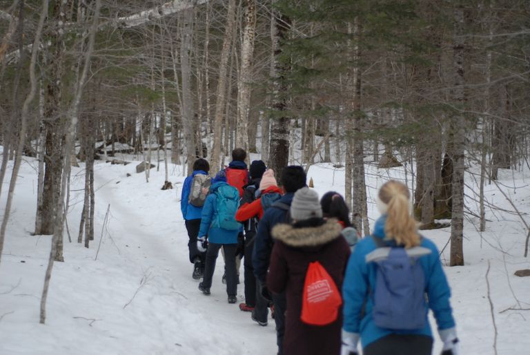People hiking in the woods