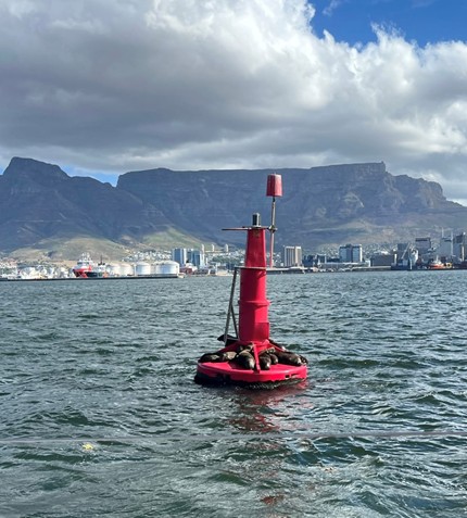 Table Mountain