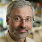 7/28/10 3:30:35 PM -- Boston, Massachusetts Portrait of CAS Biology Professor David Waxman is for the Research Brochure . Photo by Kalman Zabarsky for Boston University Photography