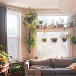 Photo: A cozy apartment filled with houseplants