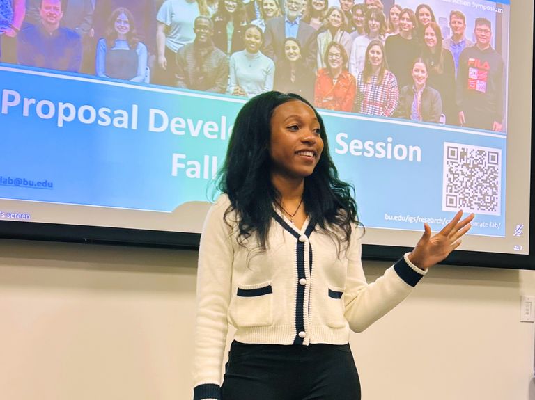 A professional giving a presentation.