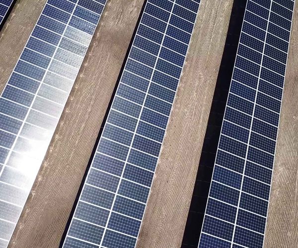 Birds-eye view of solar panels in a field.