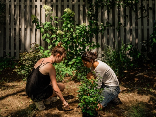BU students planting CFA color garden Campus Climate Lab project.