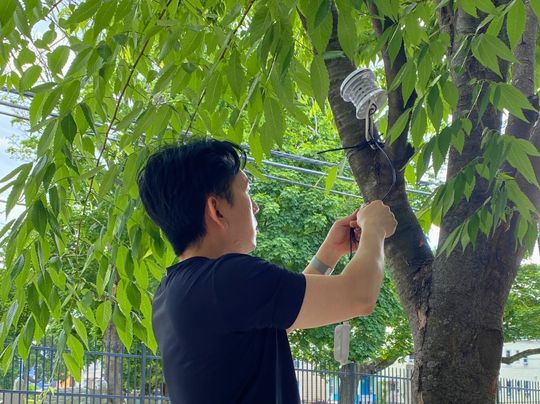 A person attaching a monitoring device to a tree.