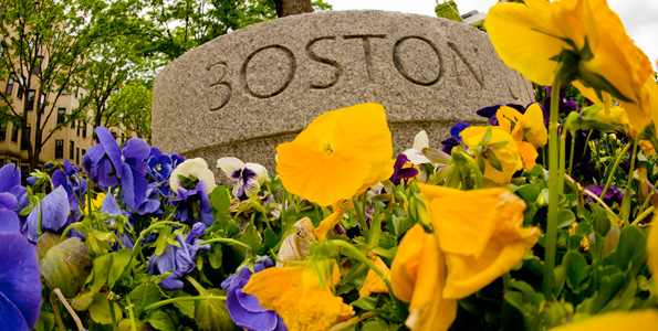 Authorization for Employment at BU