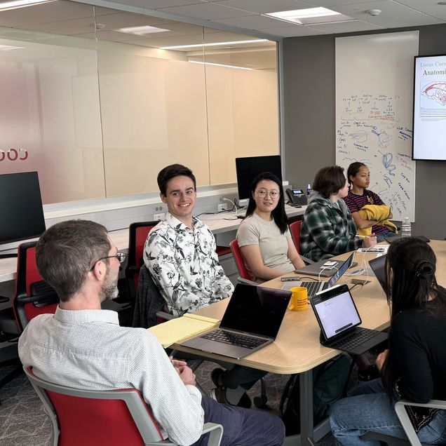 People seated around a conference table