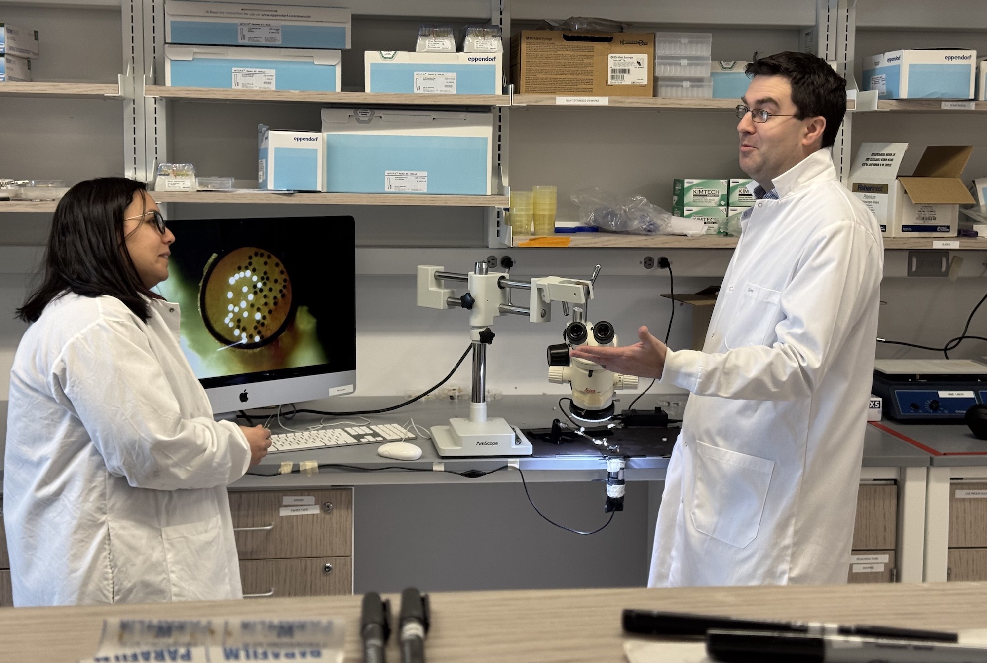 Professor Mark Howe and collegue discussing their lab work