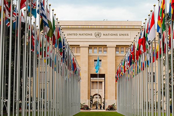 International flags on the lawn outside the United Nations building.