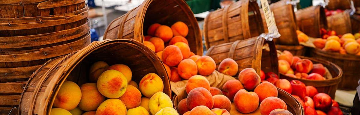 Gastronomy Student Helps Bring New Life to City Farmers Markets through Mayor’s Office Fellowship