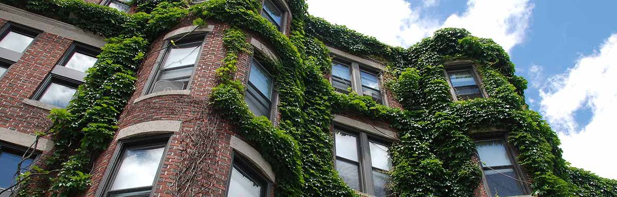 With Aims to Use Data Science for Good, MSCIS Alum Makes Impact with Campus Dorm Climate Research