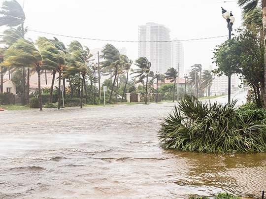 A hurricane in Florida