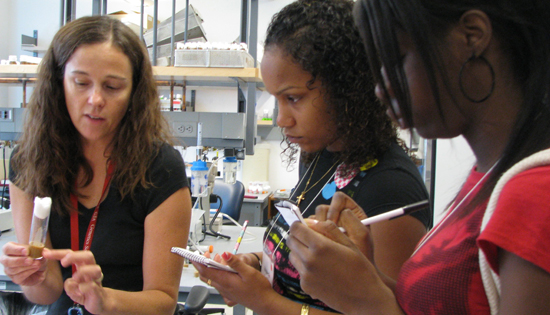 MySummer Summer Pathways in Science and Engineering