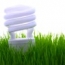 white-bulb1-thumb