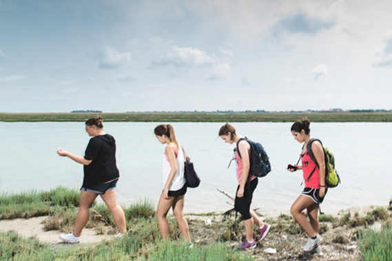 Boston University 部, study abroad, Venice, Italy, environmental biology science, ecology