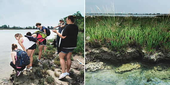 Boston University 部, herpetology, College of Arts and Sciences CAS, biology, Christopher Schneider, Karen Warkentin, Florida, Corkscrew Swamp, Archbold Biological Station, Bird Rookery Swamp, Betsie Rothermel