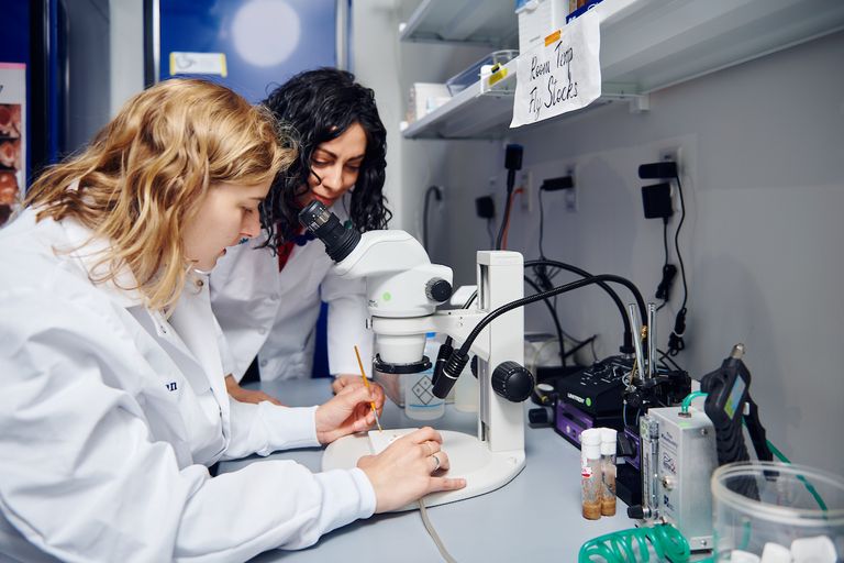 Two researchers work at a microscope