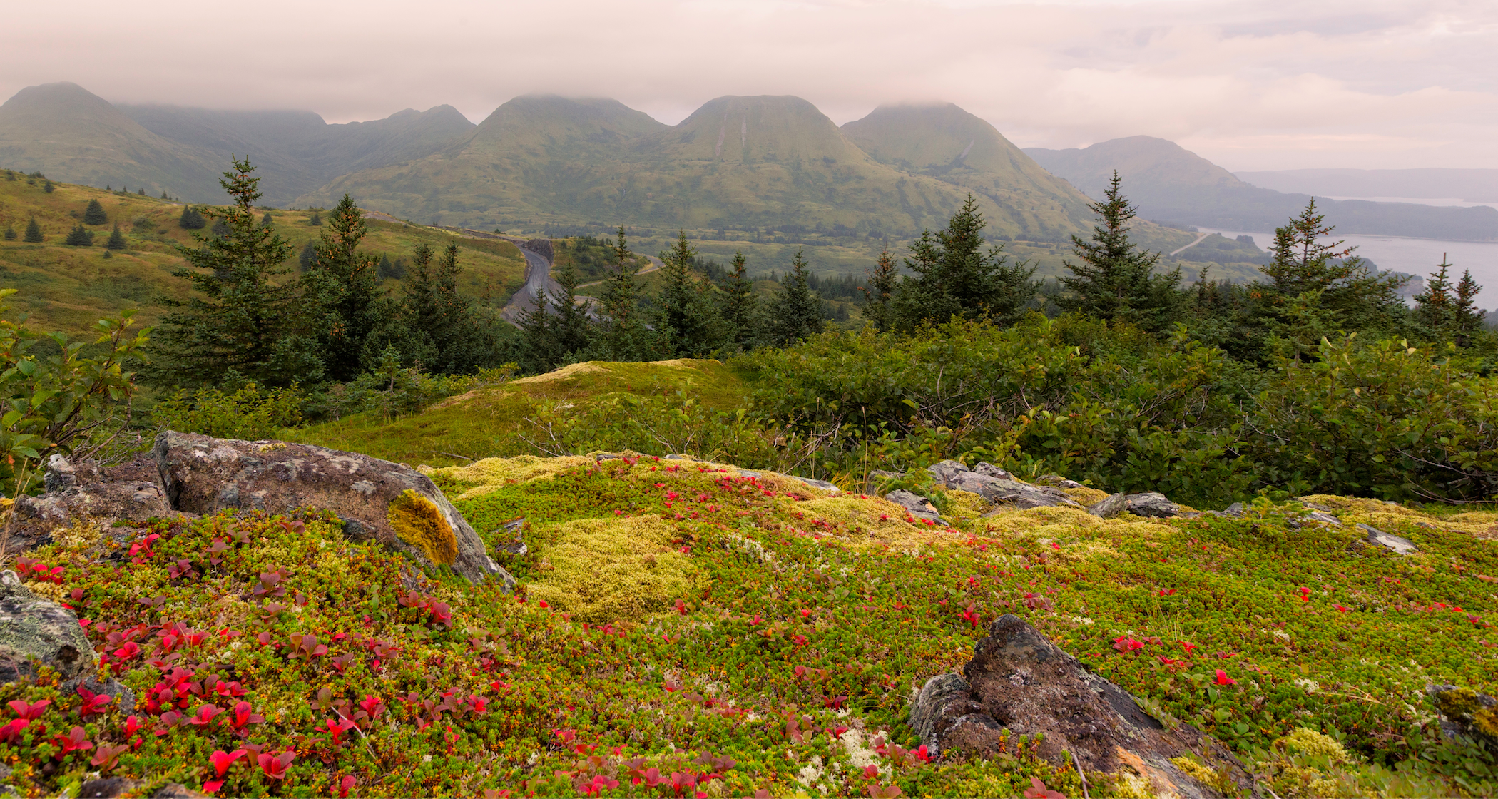 Kodiak Island