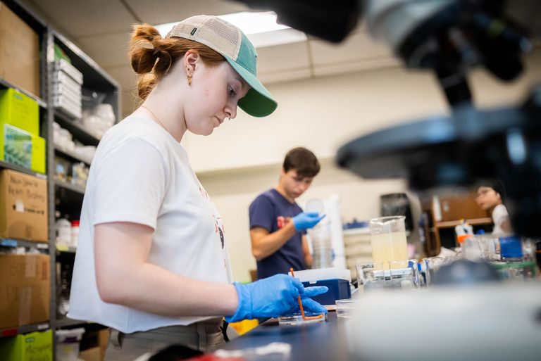 Two students testing bacteria in a lab