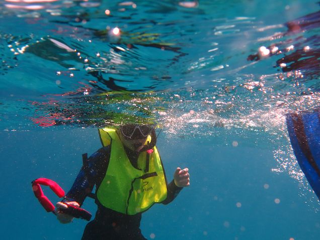 Snorkeler in the water