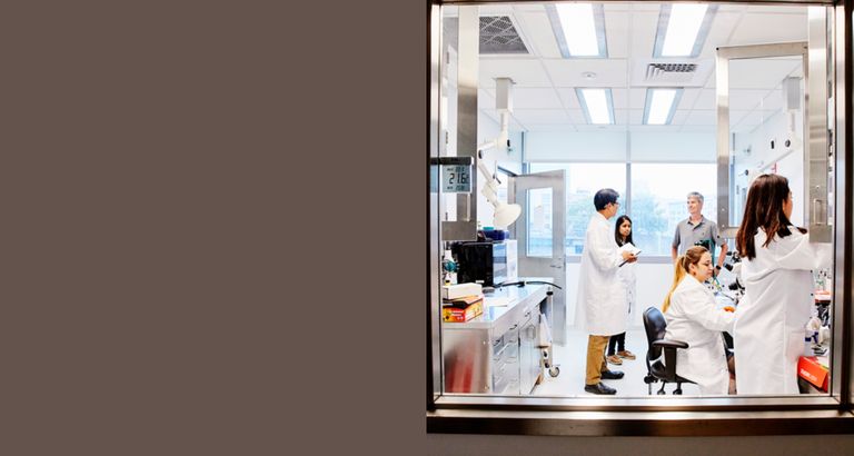 新濠影汇线上赌场研究人员 working together in a lab
