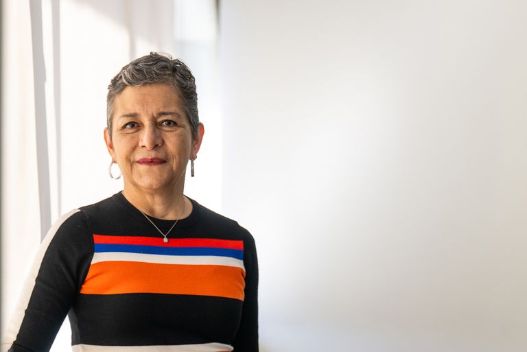 Dolores Acevedo-Garcia launches Institute for Equity in Child Opportunity and Healthy Development