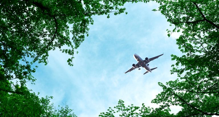 Plane flying over forest