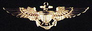 pilot_pin