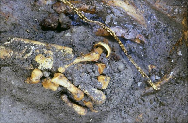 headpiece image, skeleton hand with ring