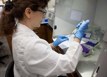 lab-work