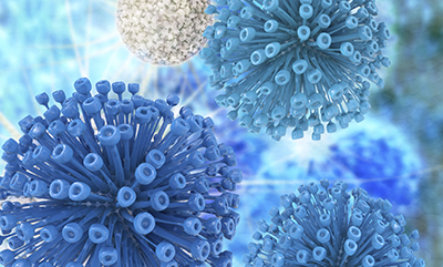 retrovirus