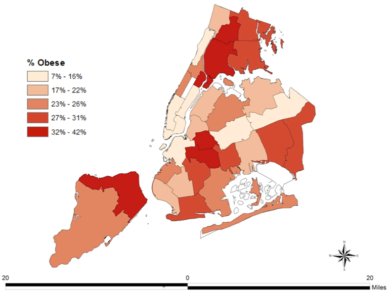 Figure 3. Prevalence of obesity by neighborhood in New York City Data from the Community Health Survey 2010, NYC Department of Health and Mental Hygiene Web site. https://www1.nyc.gov/site/doh/data/data-sets/community-health-survey.page Accessed October 10, 2017.