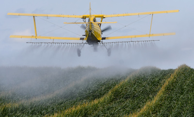 A Potential Turning Point for the Environment