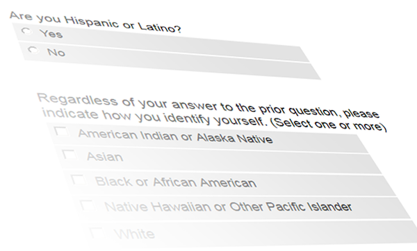 Screenshot of questionnaire asking about race and ethnicity