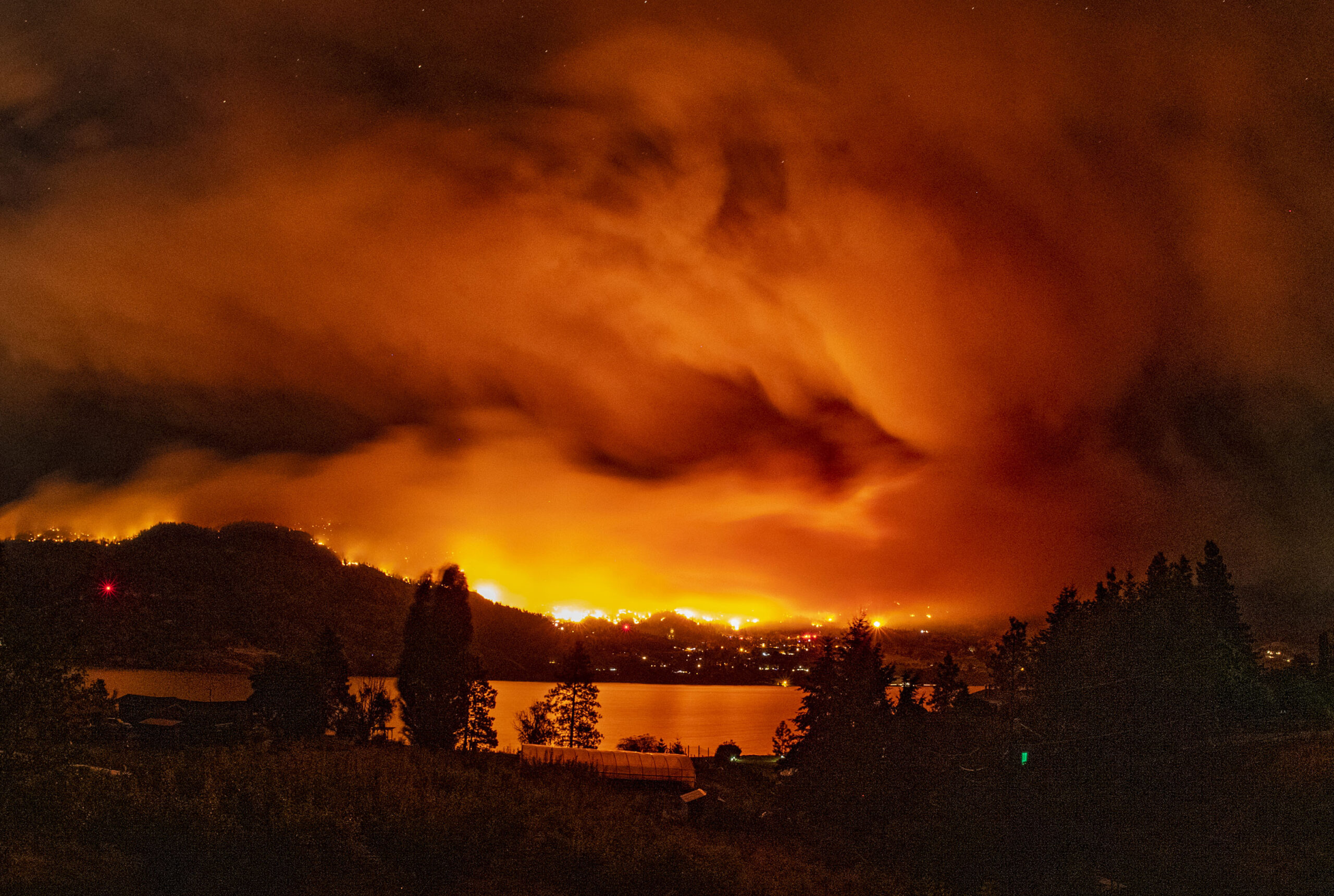 A forest fire burns among a residential area