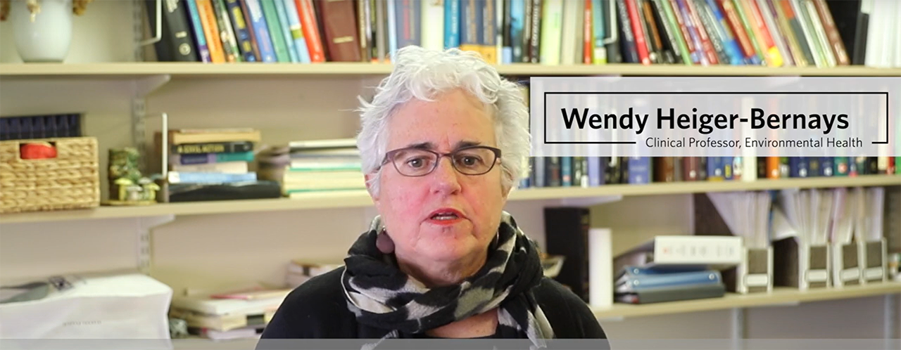 Screenshot of Professor Wendy Heiger-Bernays discussing the Environmental Health functional certificate