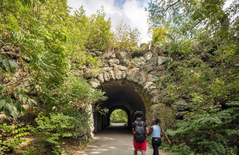People walking into a tunnel in Franklin Park