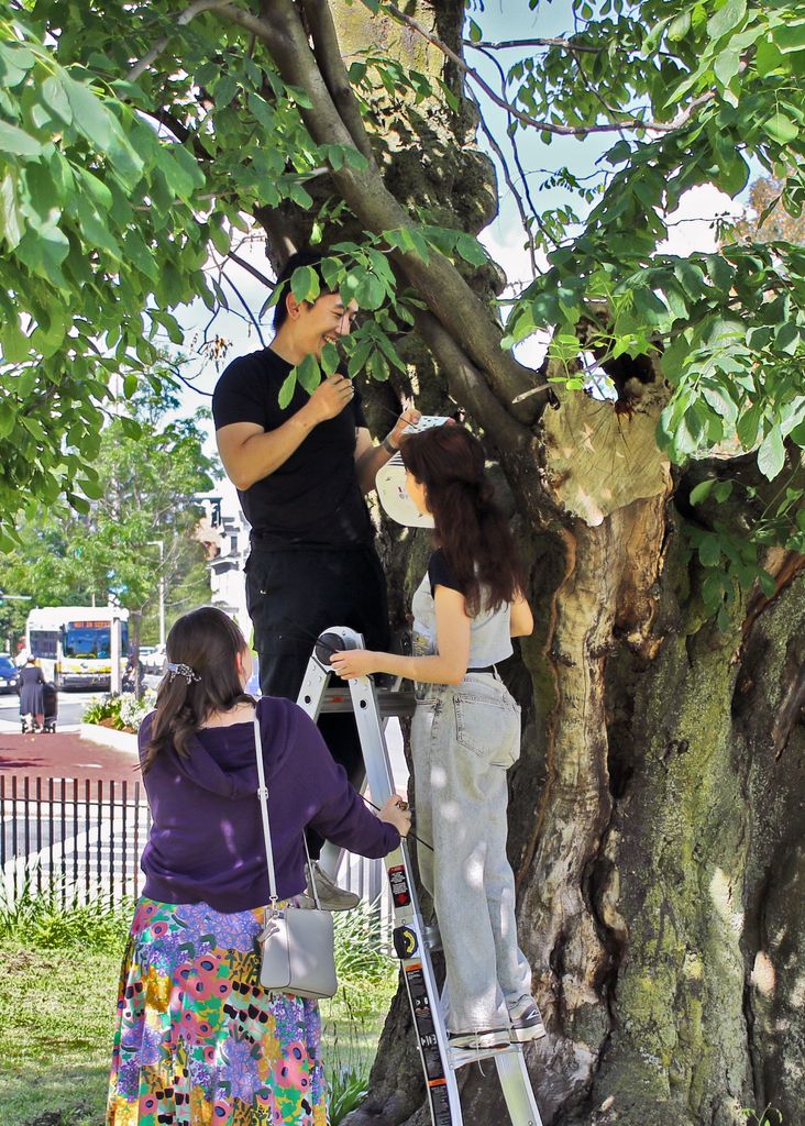 Jonathan Lee, Ameera Saba, and Isabella Gambill install a heat sensor in a tree.