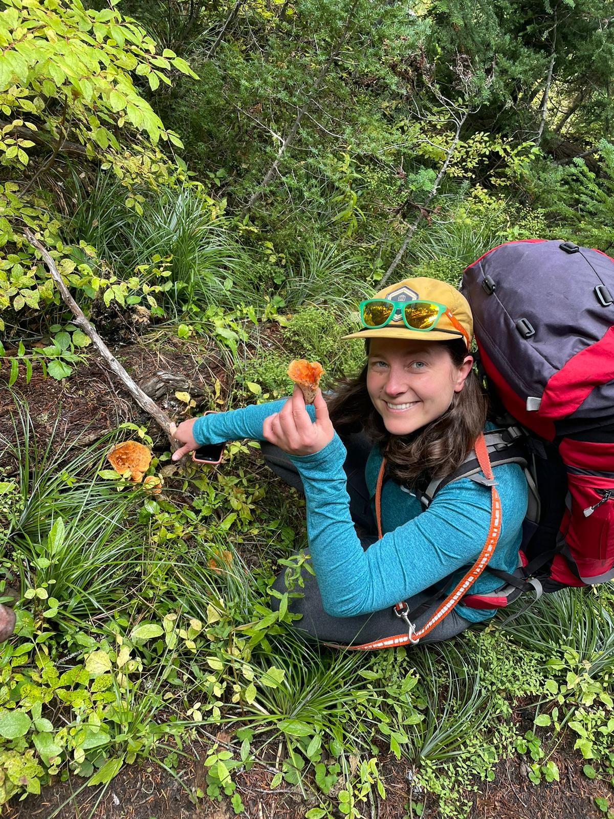 Beth Haley forages for mushrooms.