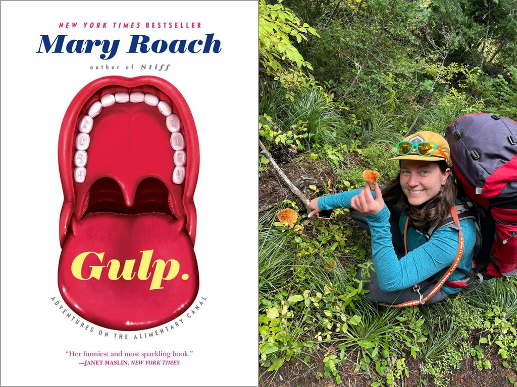 Cover art of the book "Gulp" next to a headshot of Beth Haley