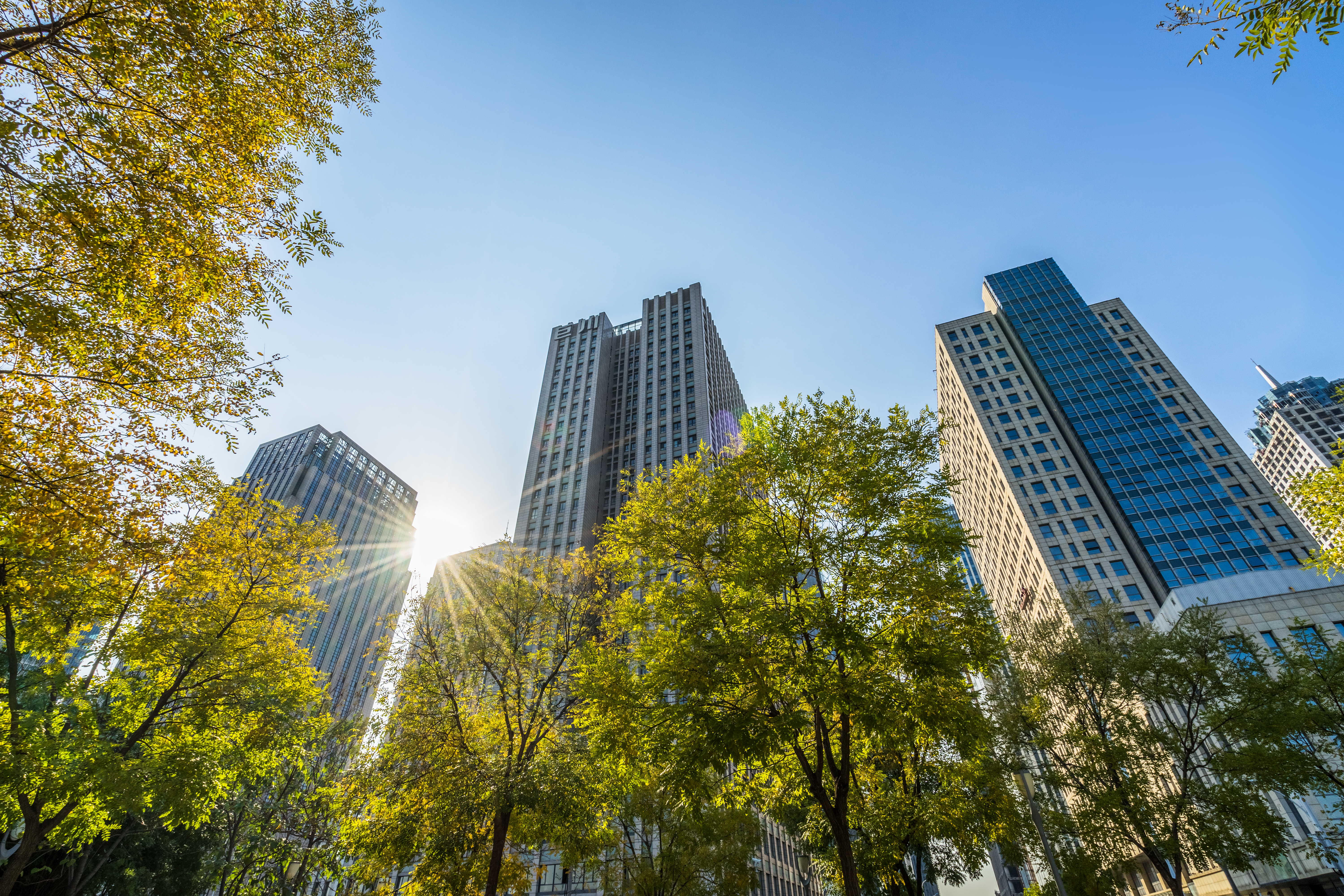 Business towers and Green leaves